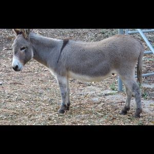 Meet your Posher, Mmadison